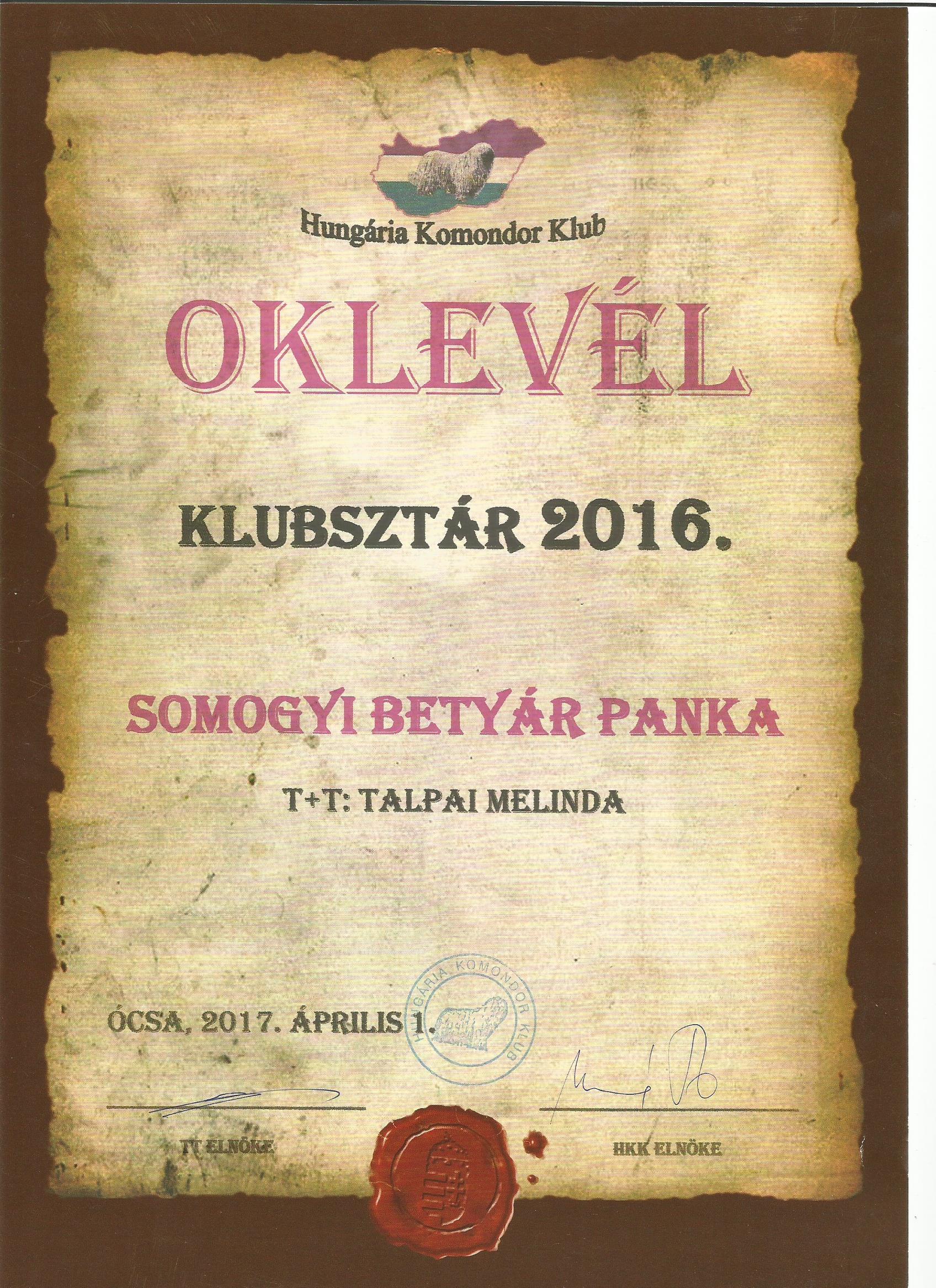 Komondor Panka Klubsztár 2016